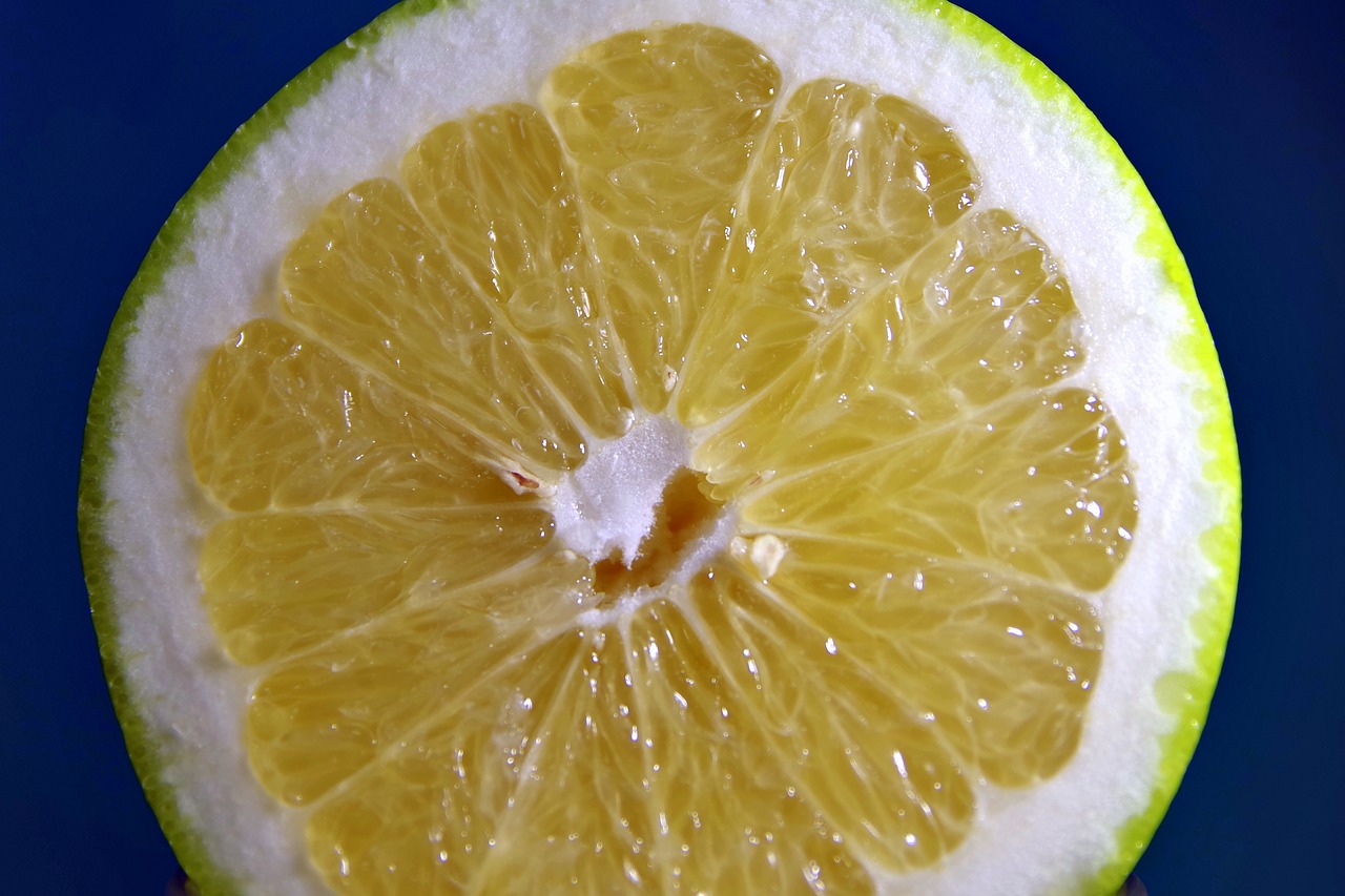 grapefruit fruit citrus free photo