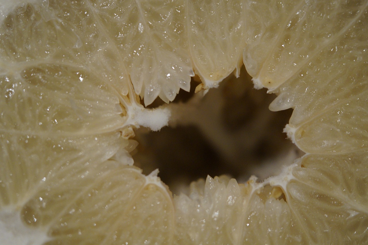 grapefruit inner cave free photo