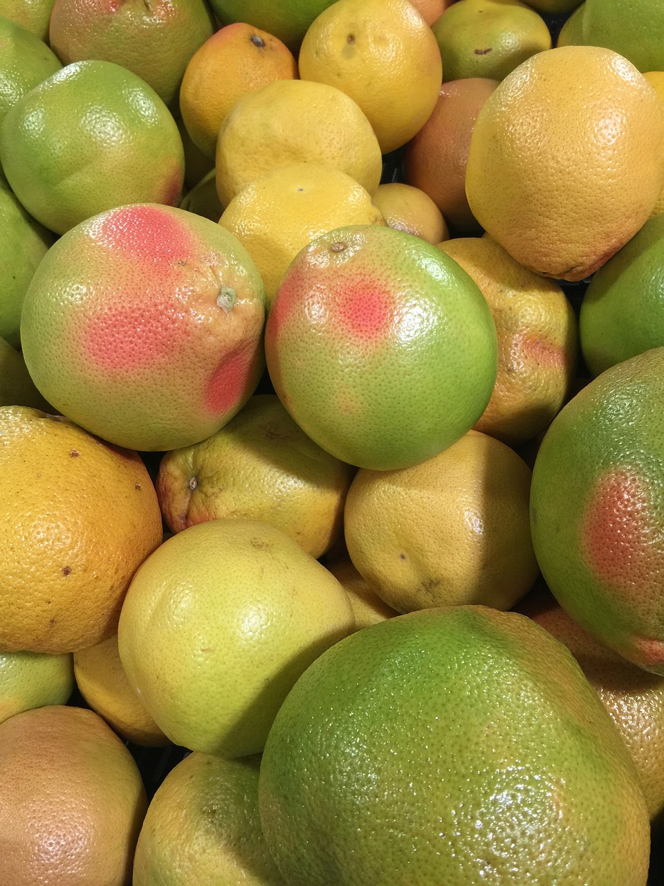 grapefruit fruit market free photo