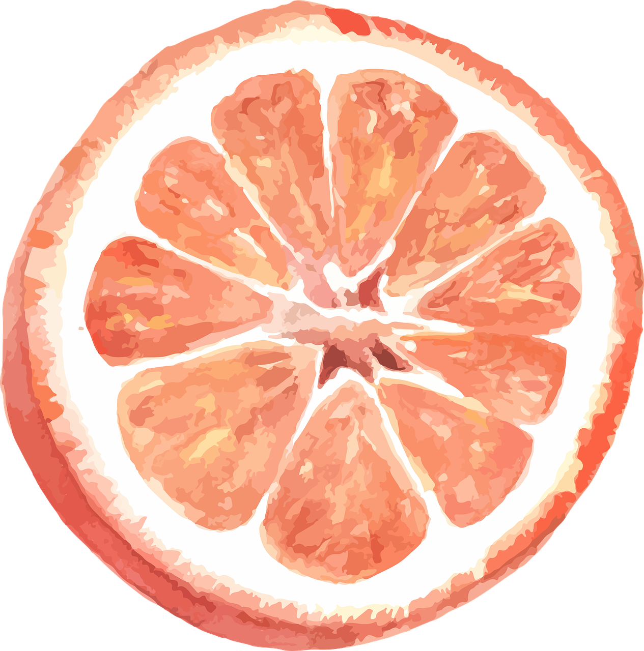 grapefruit  citrus  vector free photo