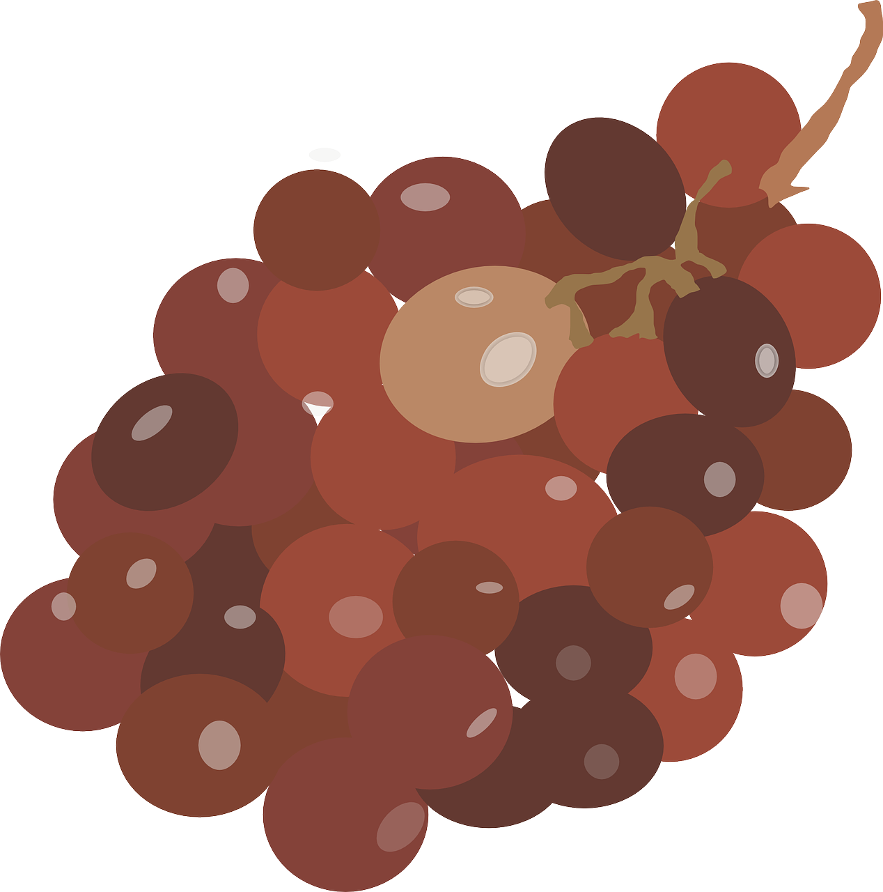 grapes red brown free photo