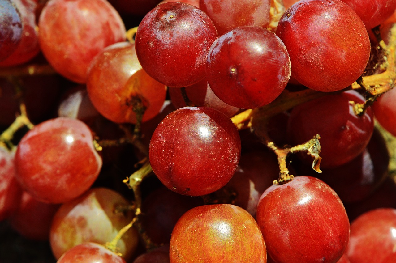 grapes fruit table grapes free photo