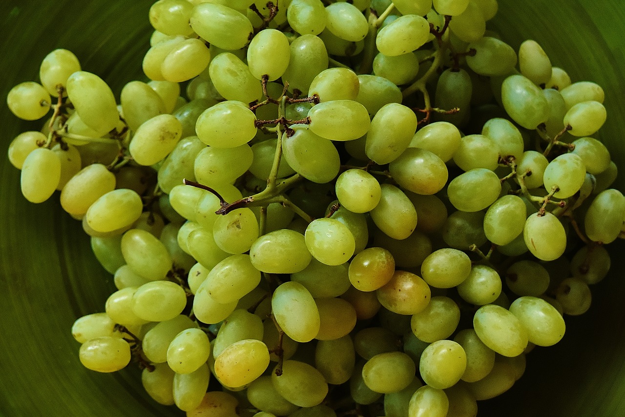 grapes plate fruit free photo