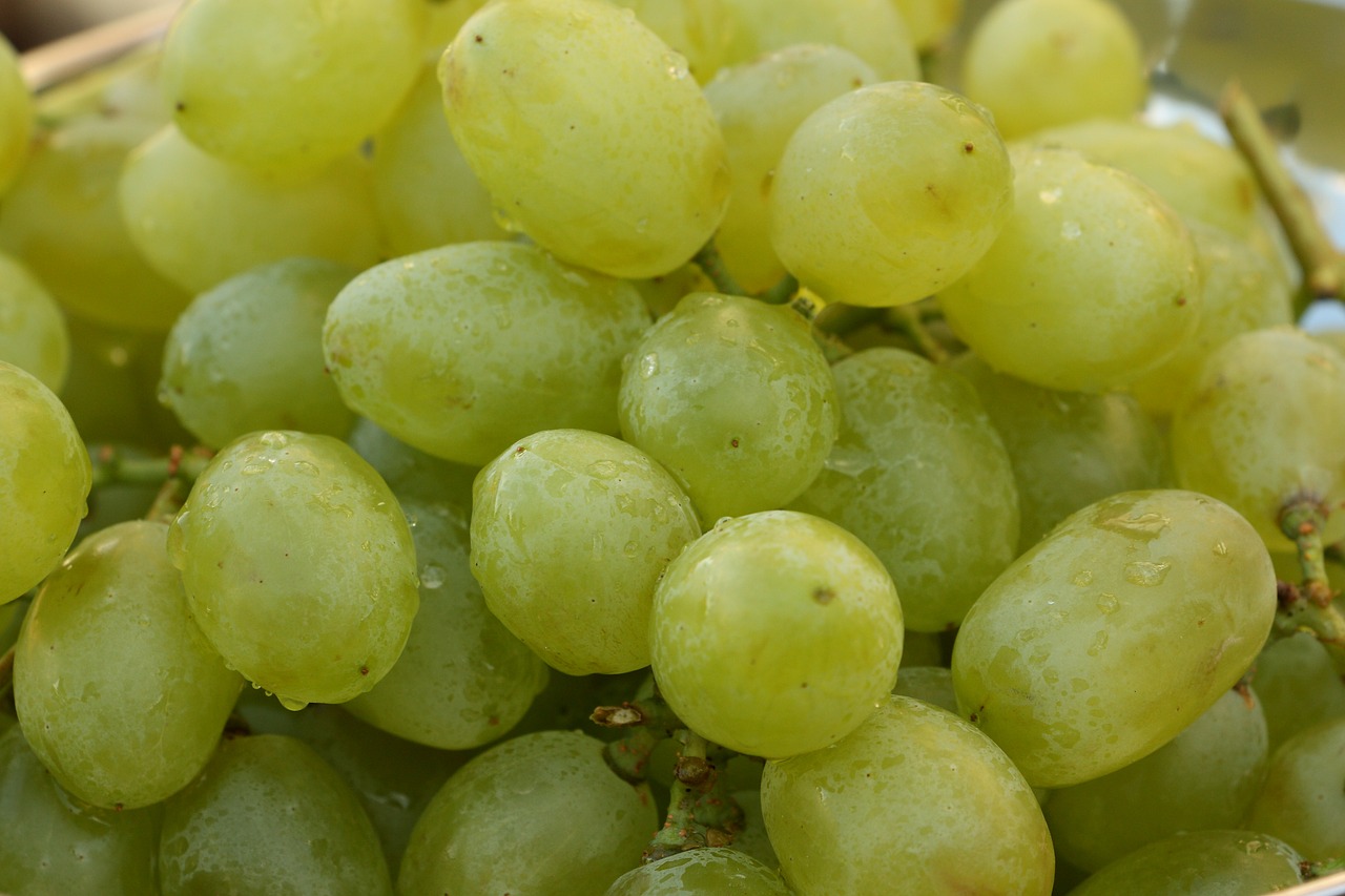 grapes fruits fruit free photo