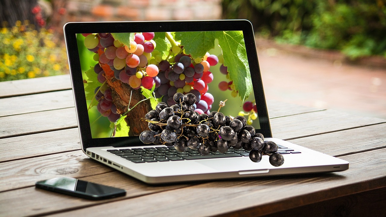 grapes fruit computer free photo
