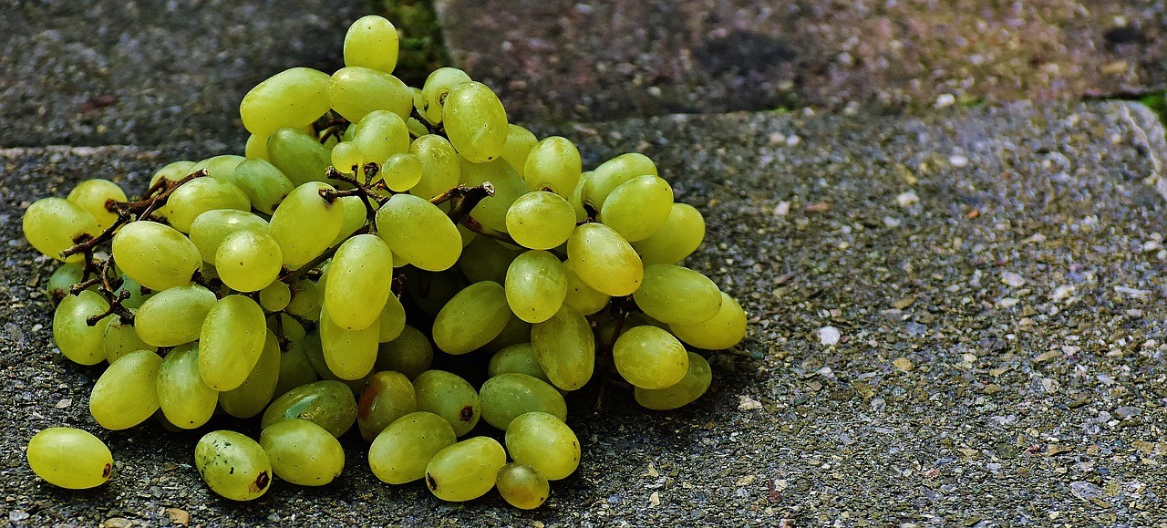 grapes fruit healthy free photo