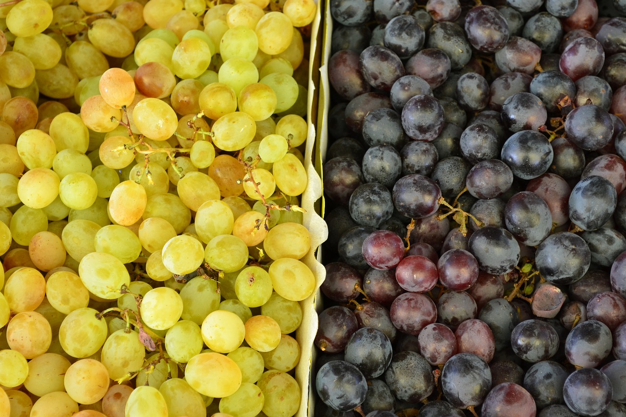 grapes grape color fruit free photo