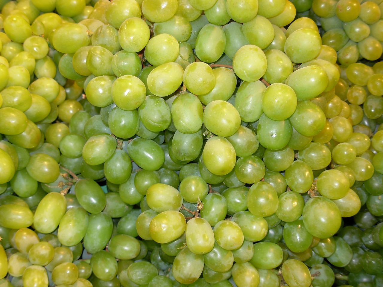 grapes green fruit free photo