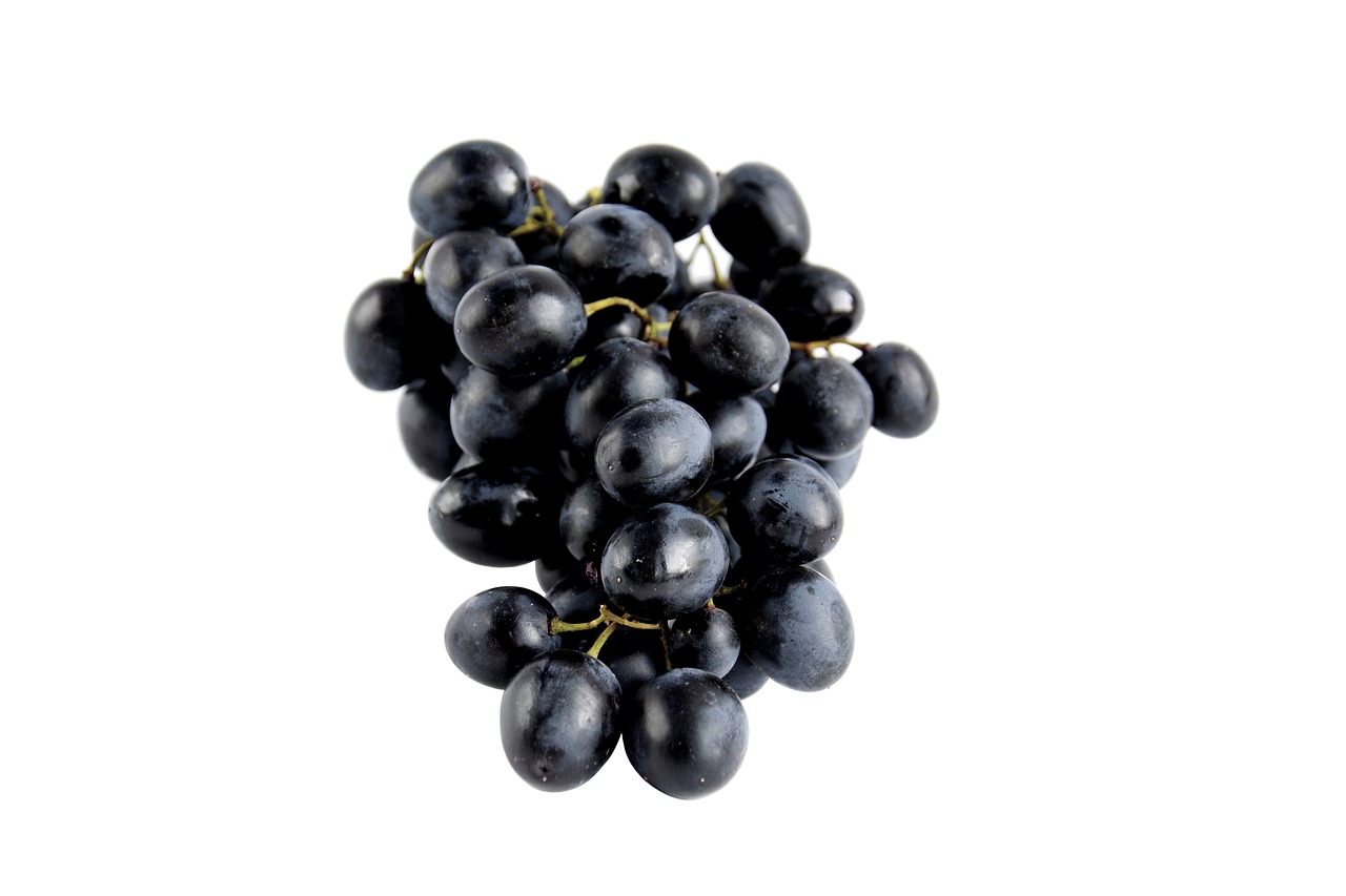 grapes fruit food free photo