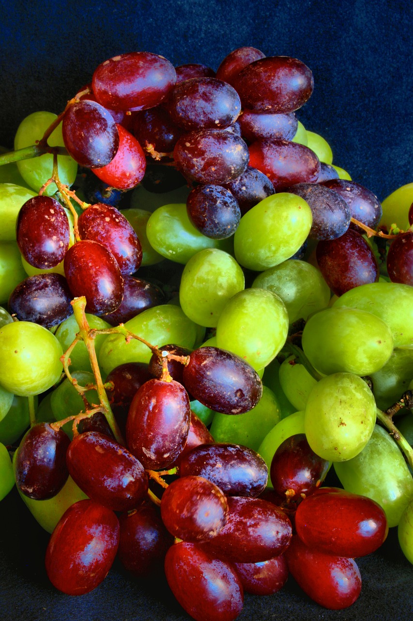 grapes food fresh free photo