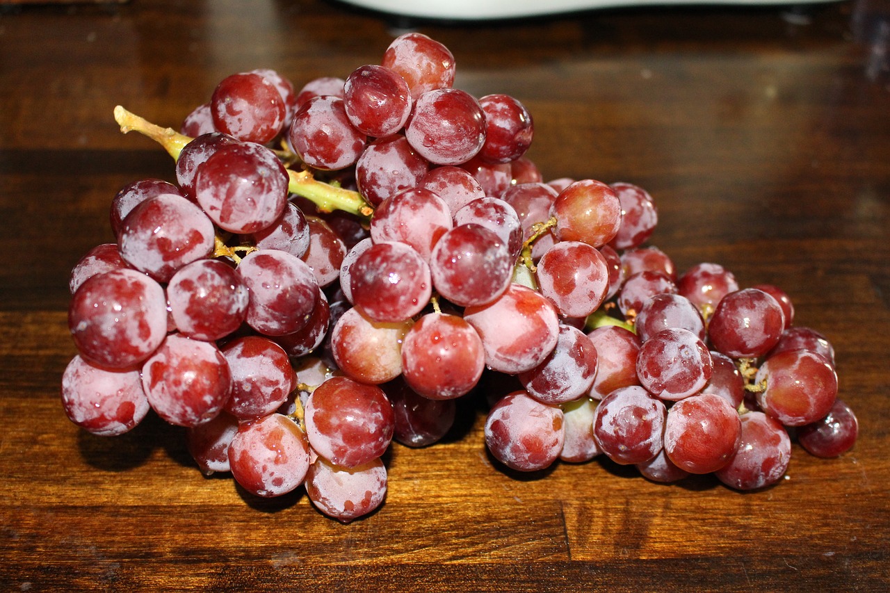 grapes fruit bunch free photo