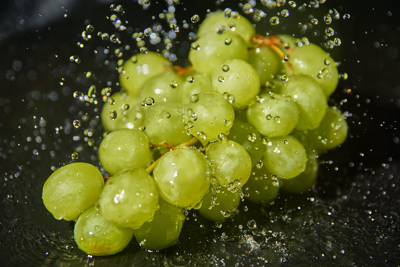 grapes east water free photo