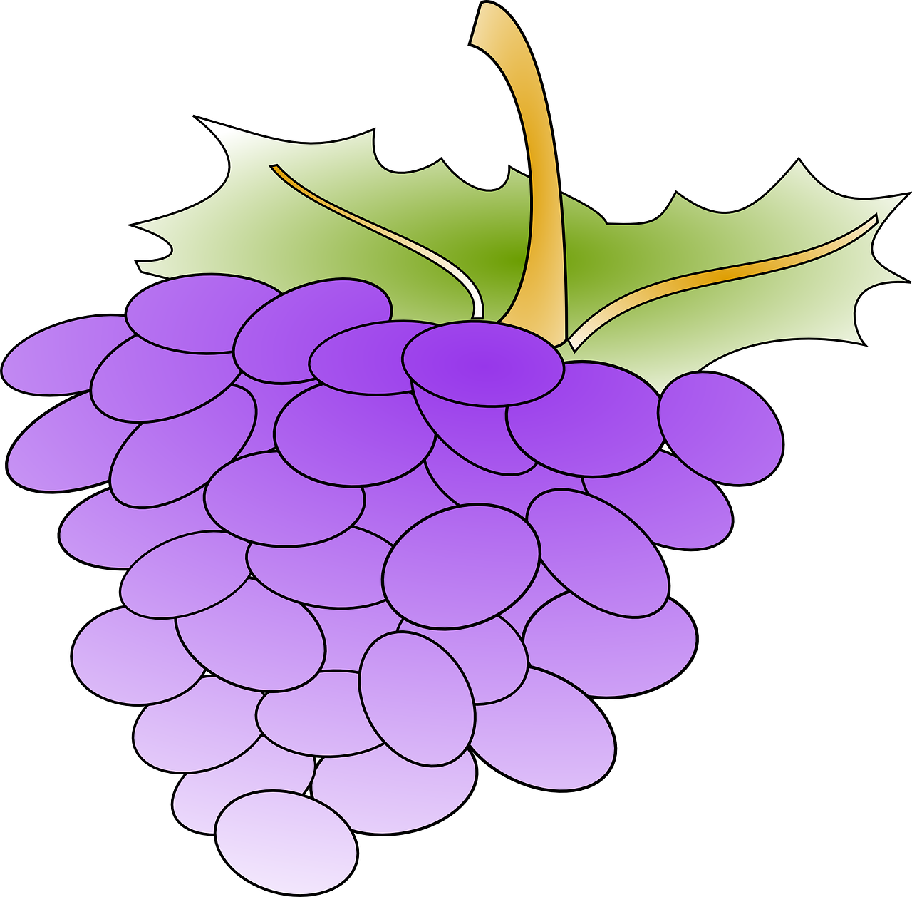 grapes vine produce free photo