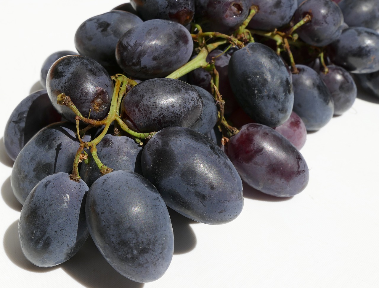 grapes wine berries panicle free photo