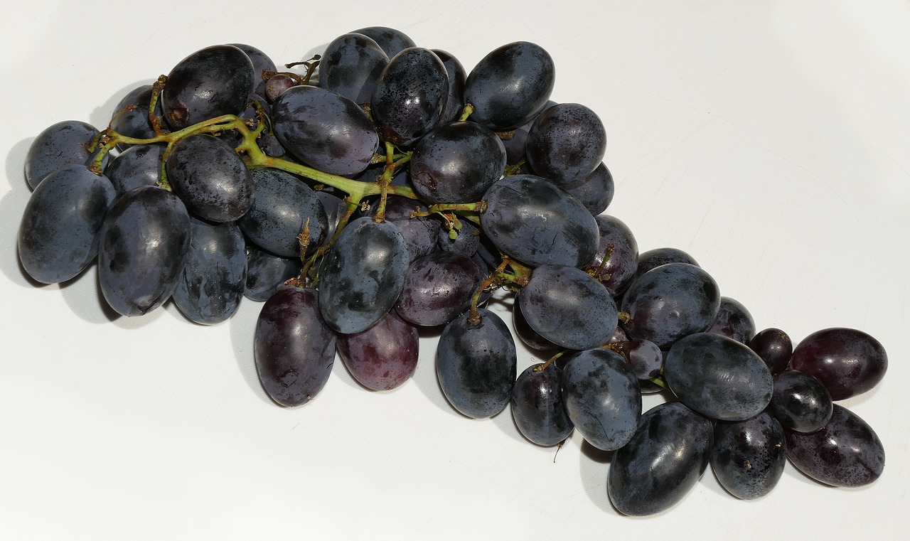 grapes wine berries panicle free photo
