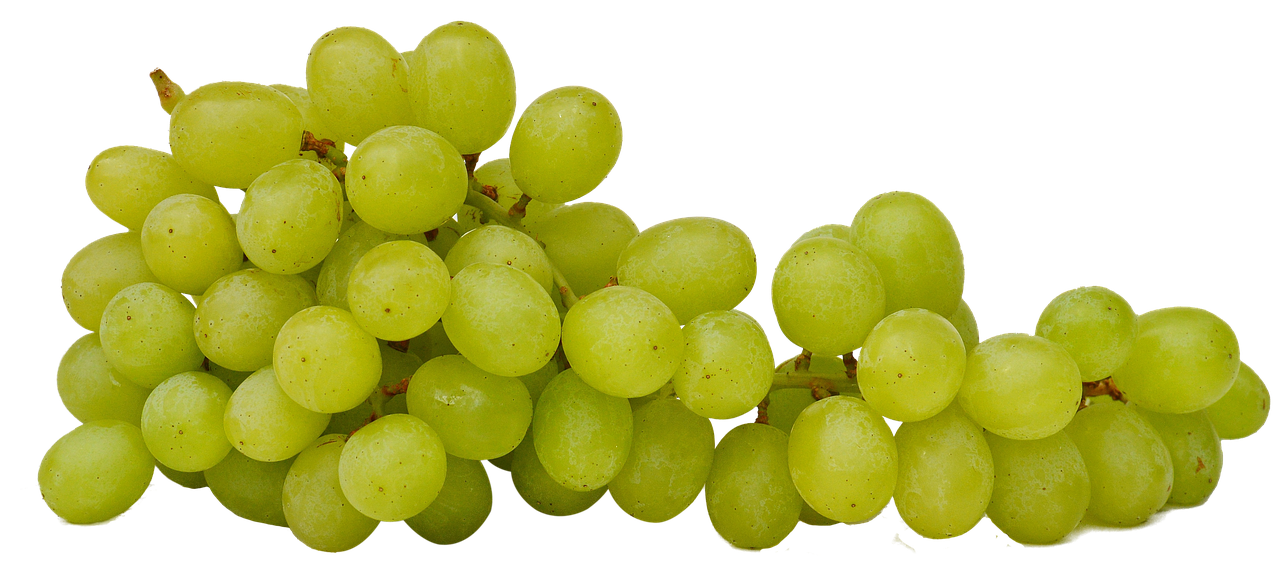 grapes isolated fruit free photo
