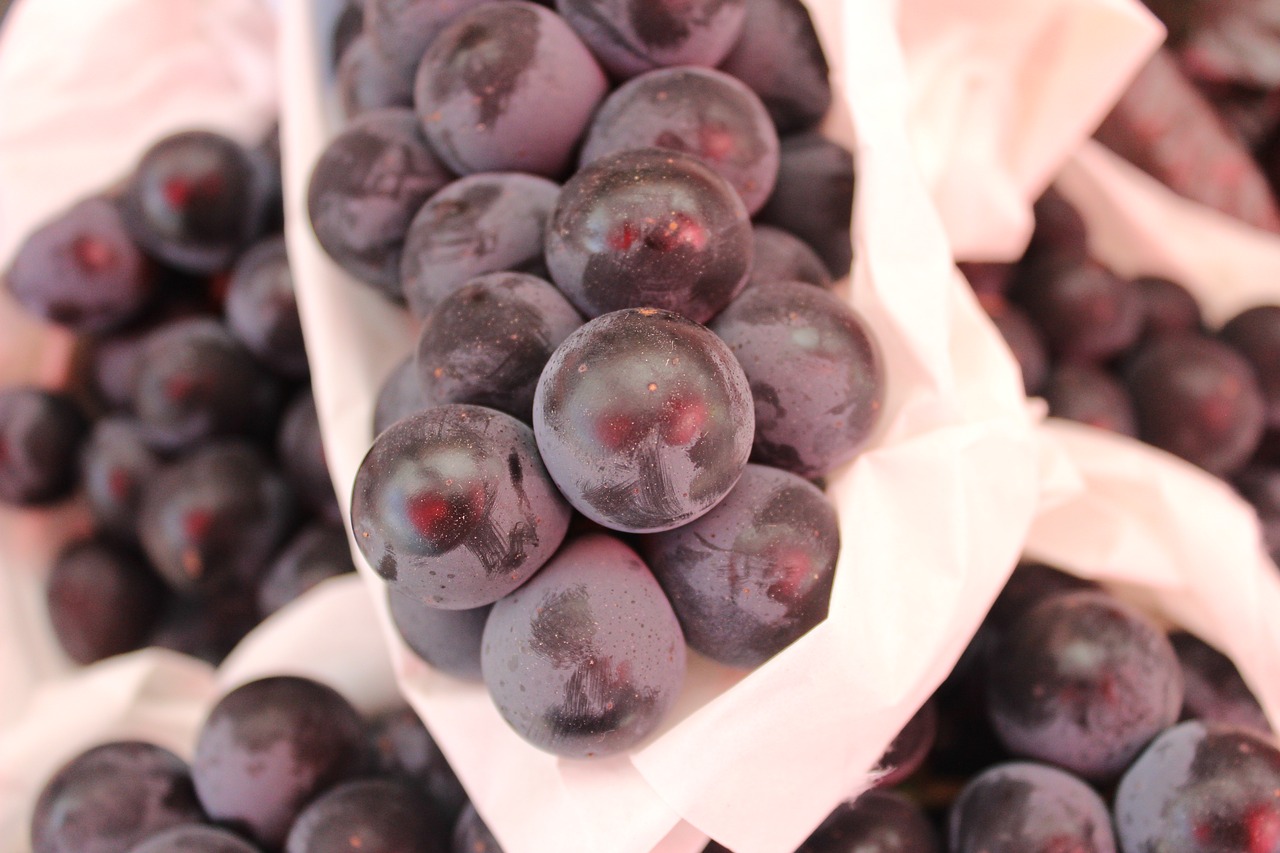 grapes fruit summer days free photo