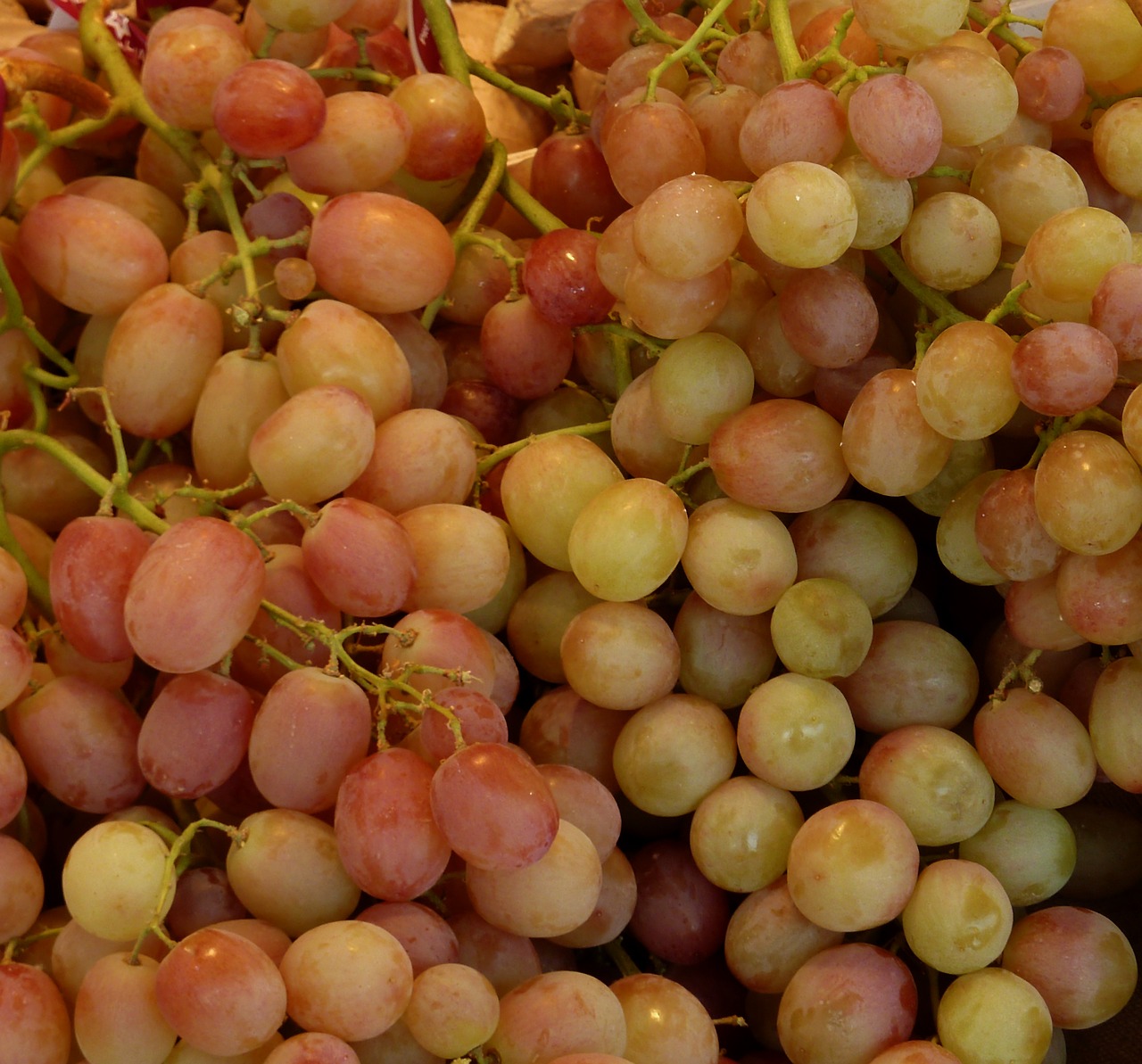 grapes sweet fruit free photo