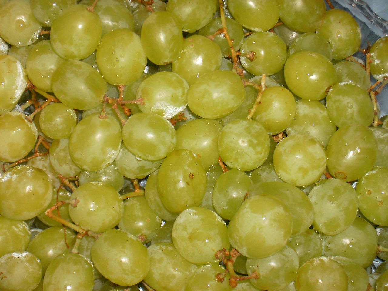 grapes  fruit  green free photo