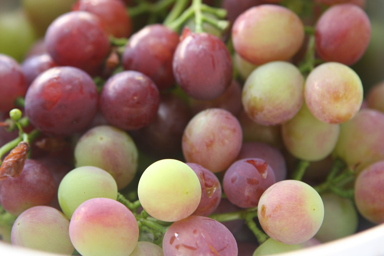 grapes fruit fruit bowl free photo