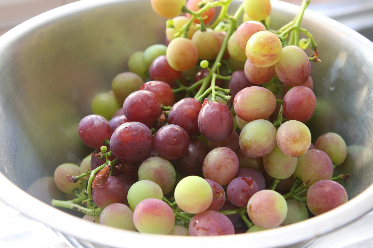 grapes fruit fruit bowl free photo