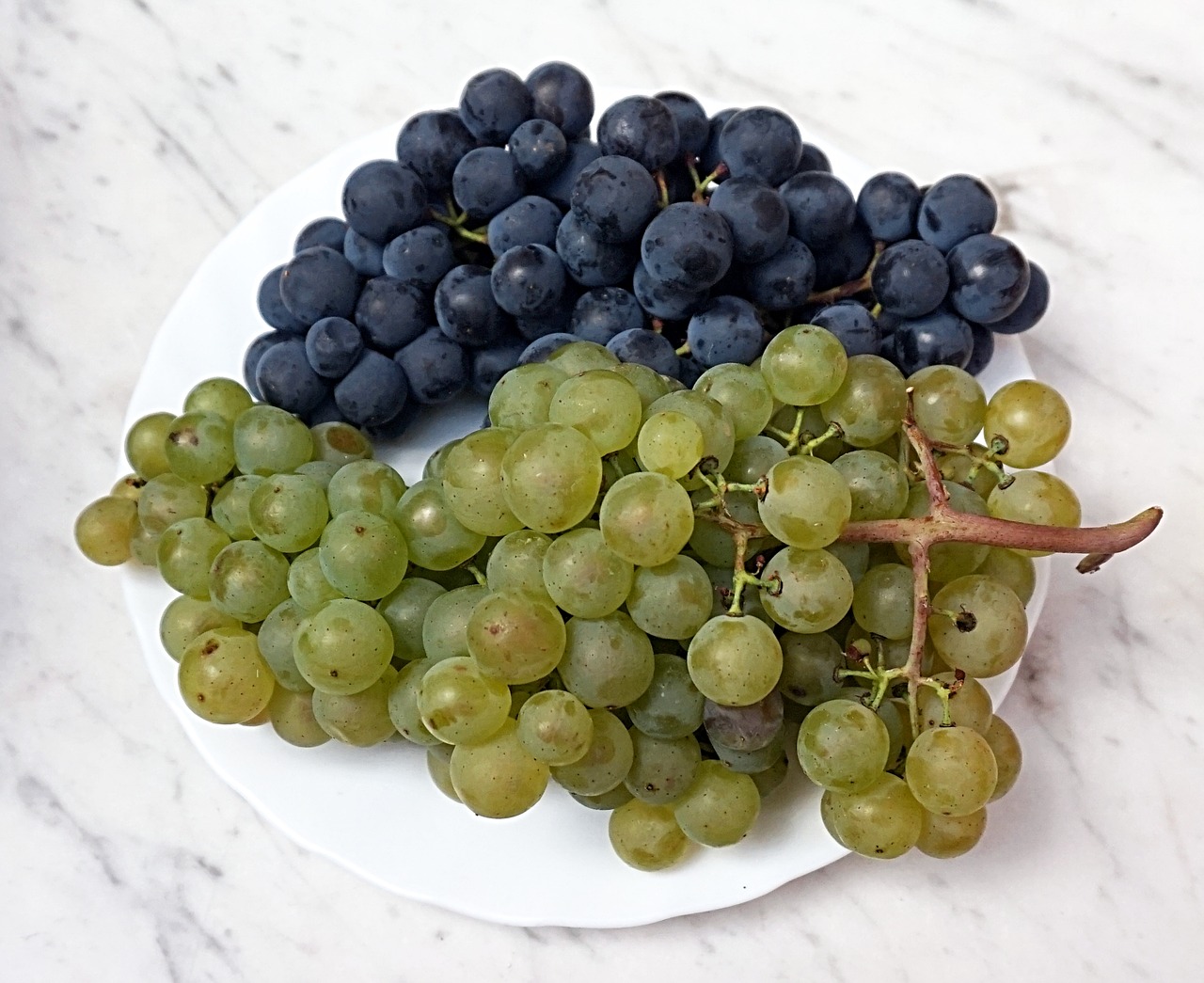 grapes  plate  fruit free photo