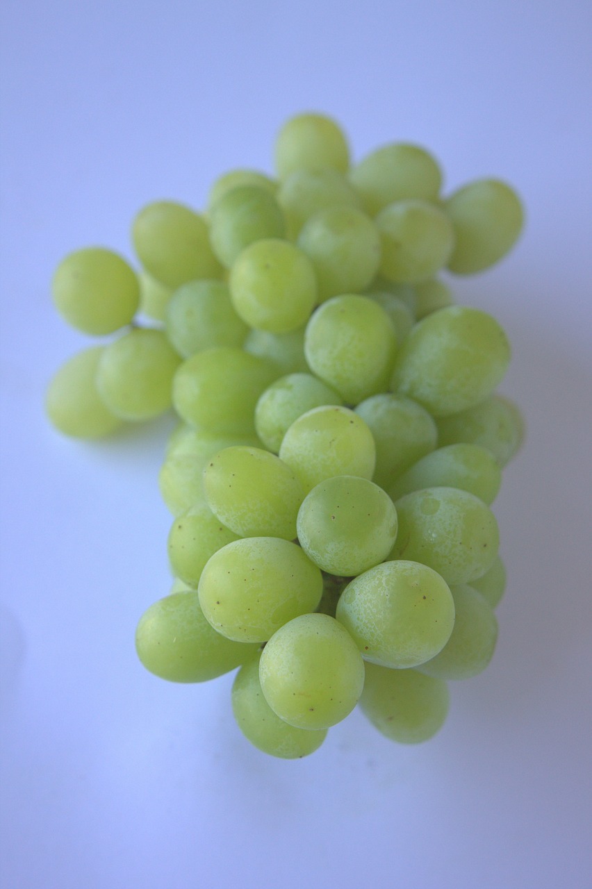 grapes green fruit free photo