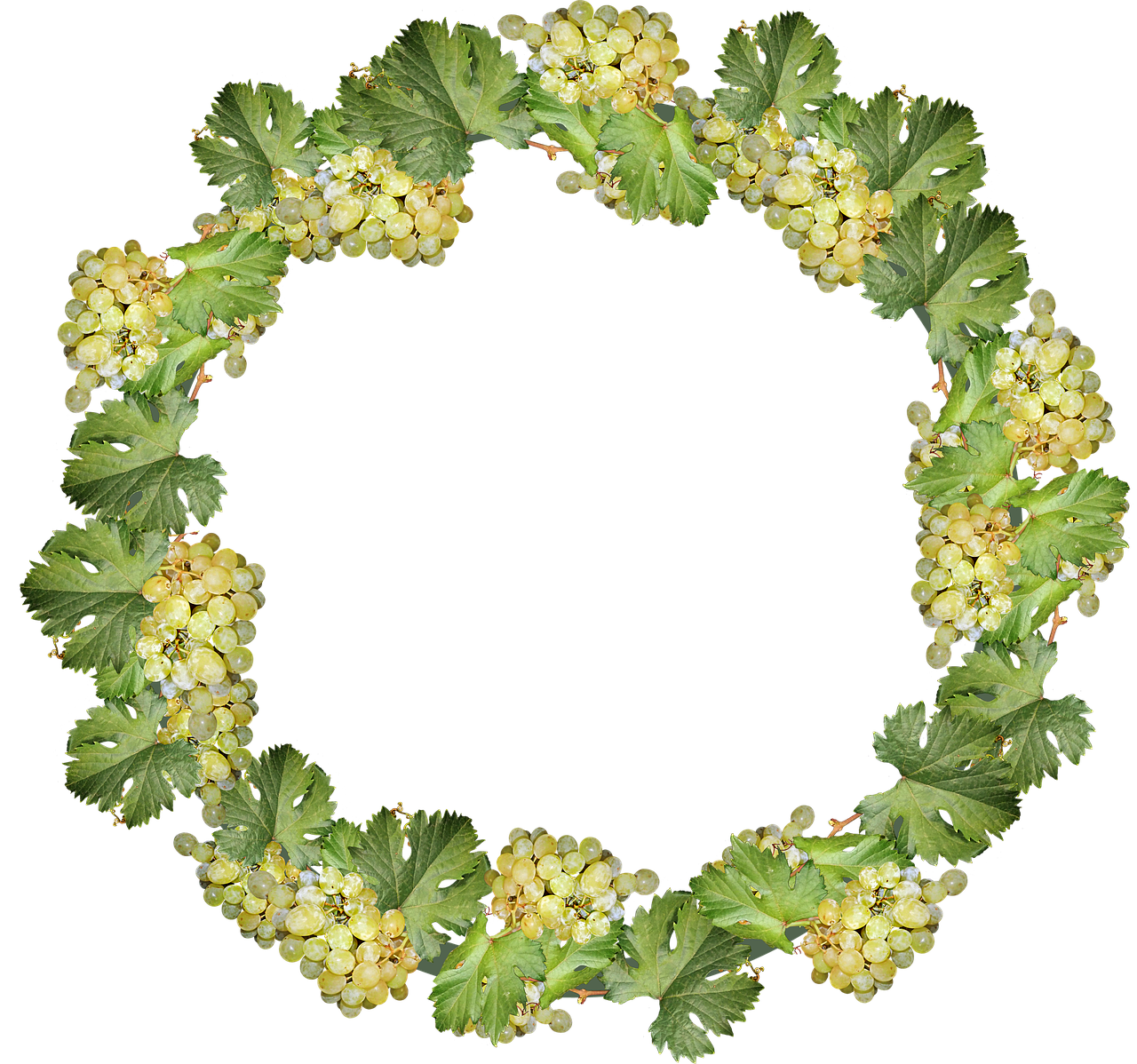 grapes  wreath  border free photo