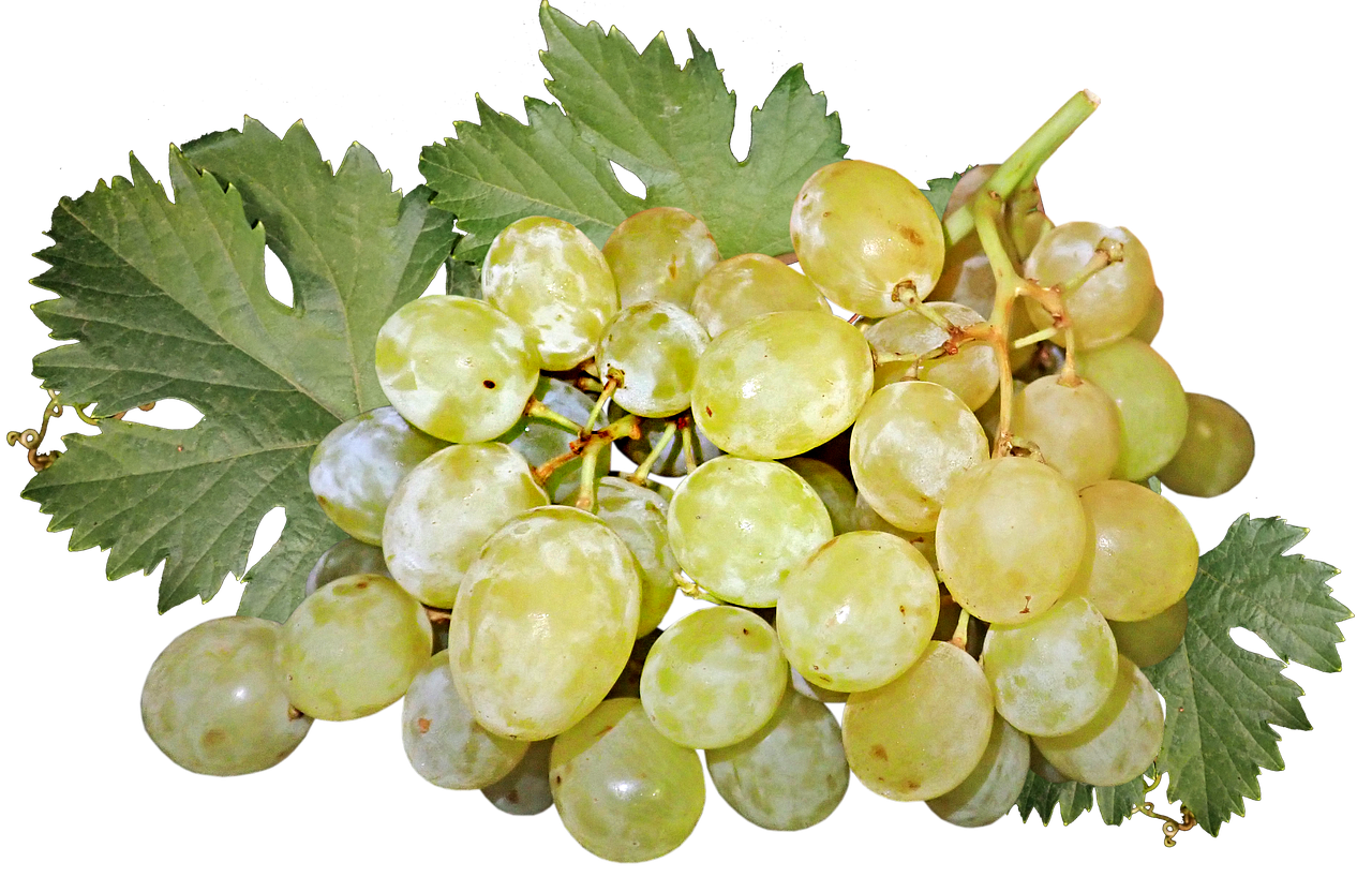 grapes  fruit  bunch free photo