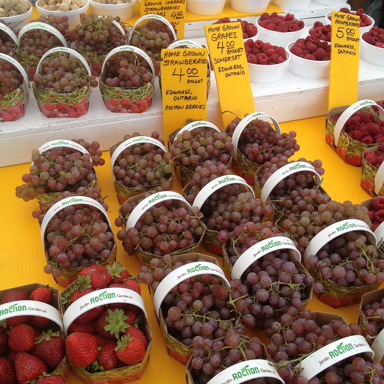 grapes fruit market free photo