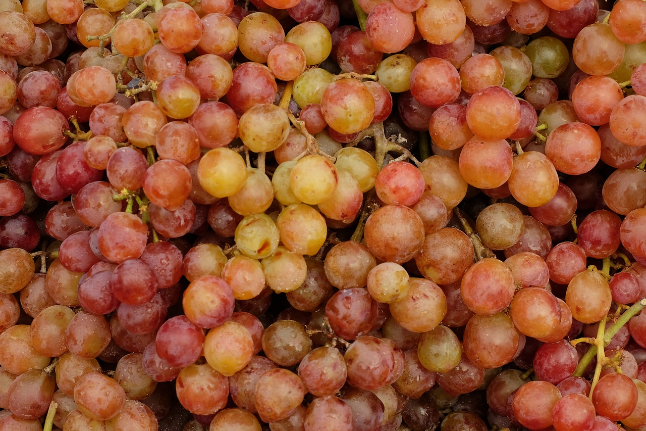 grapes food fruit free photo