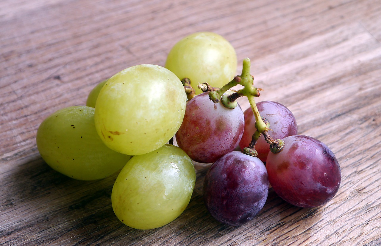 grapes bunch food free photo