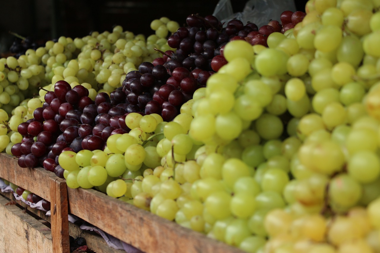 grapes fruit agriculture free photo