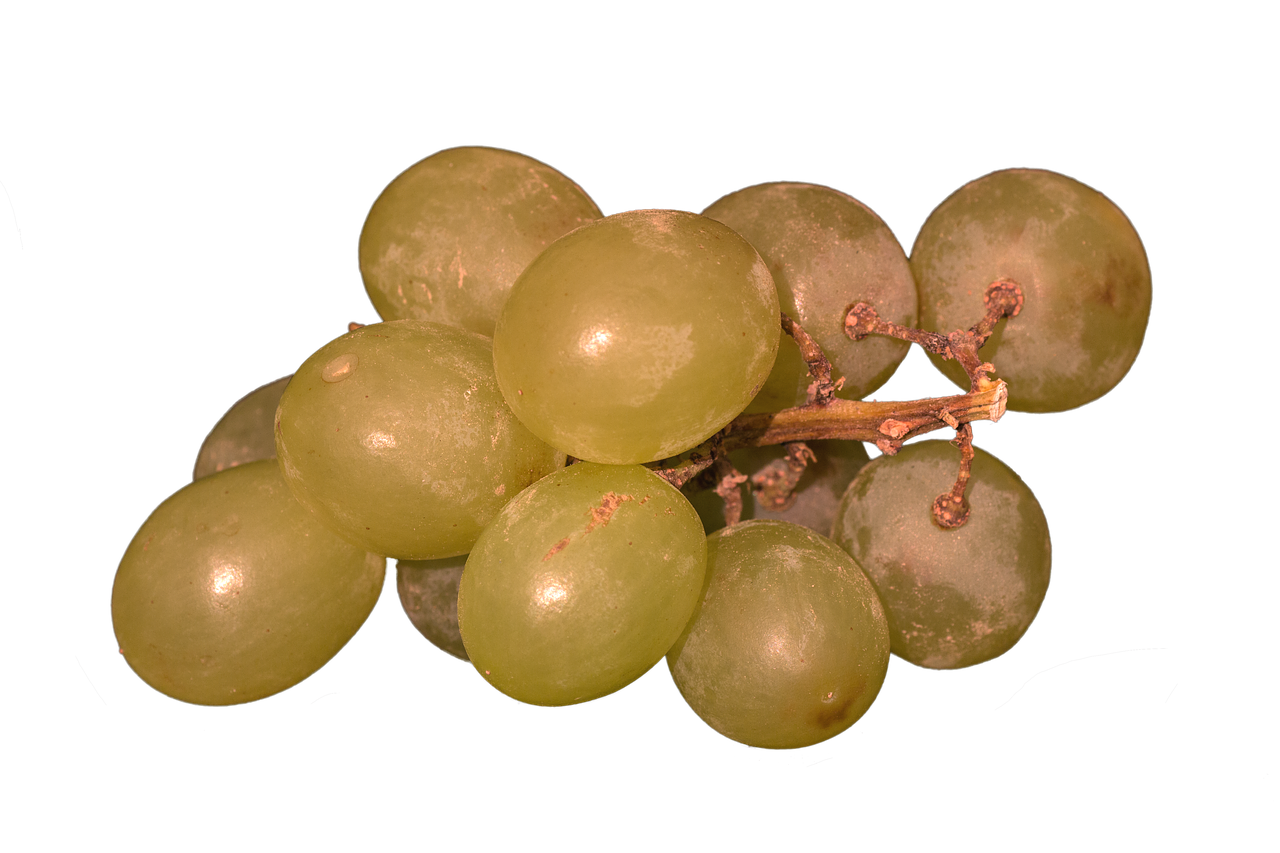 grapes isolated yellow free photo