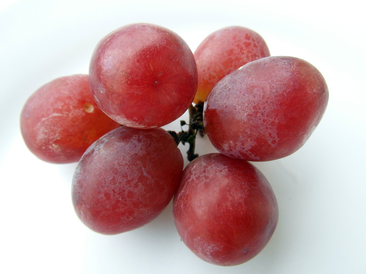 grapes red frisch free photo