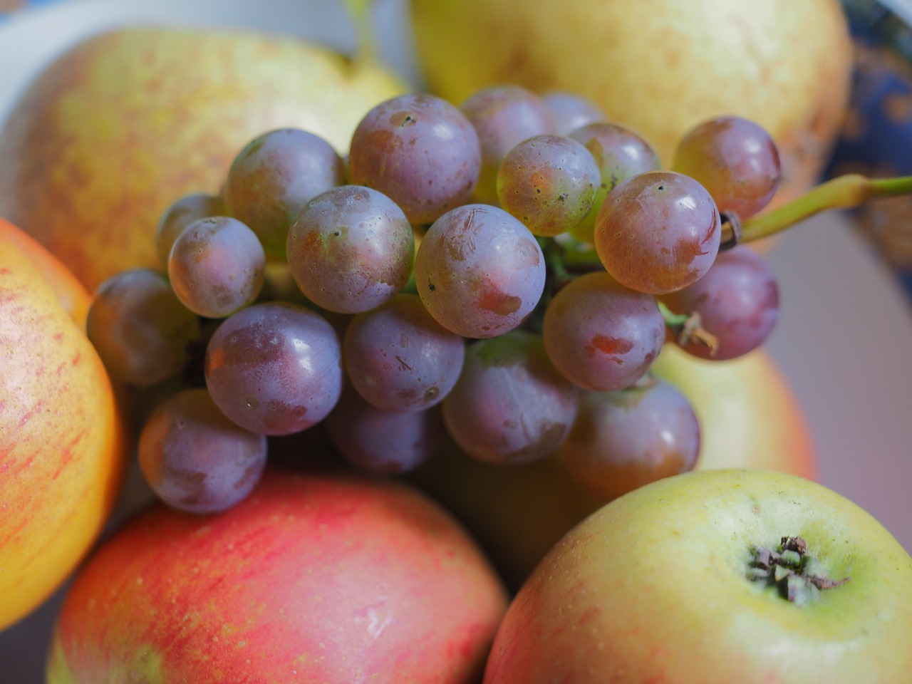 grapes fruit green free photo