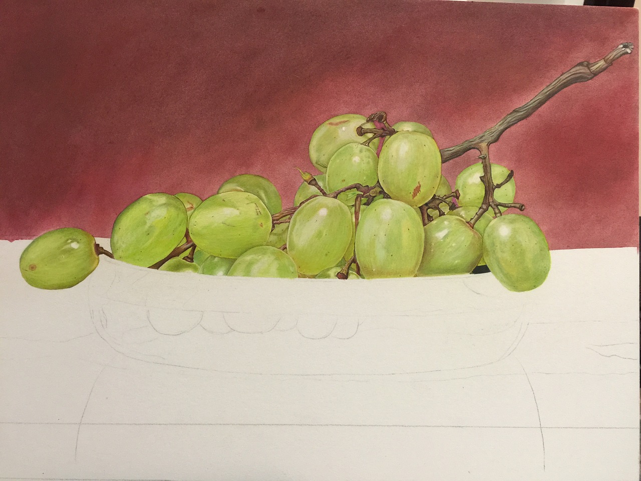 grapes drawings painting free photo