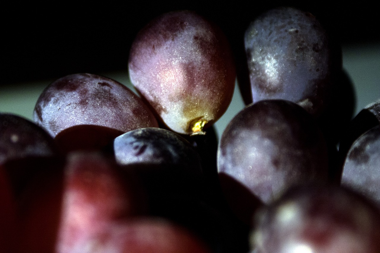 grapes violet fruit free photo