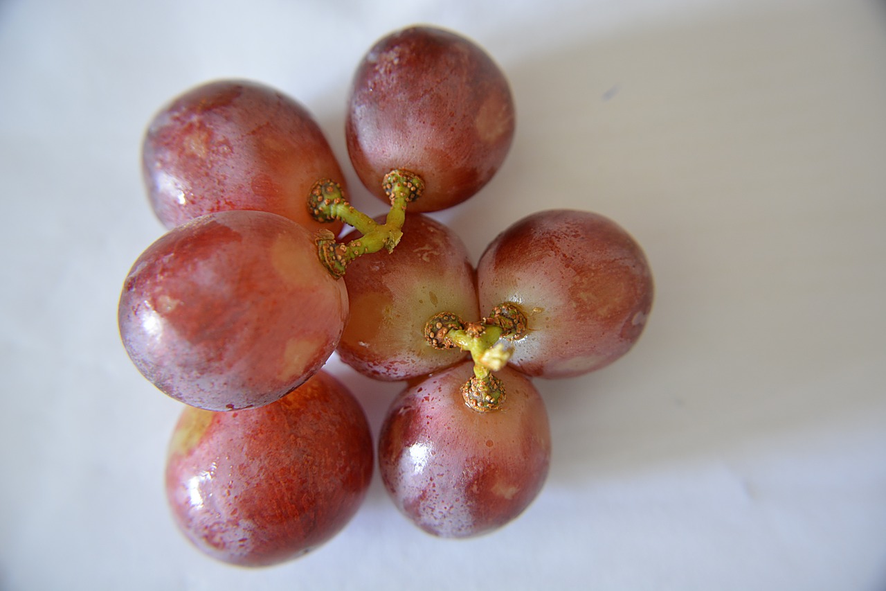 grapes grains fruit free photo