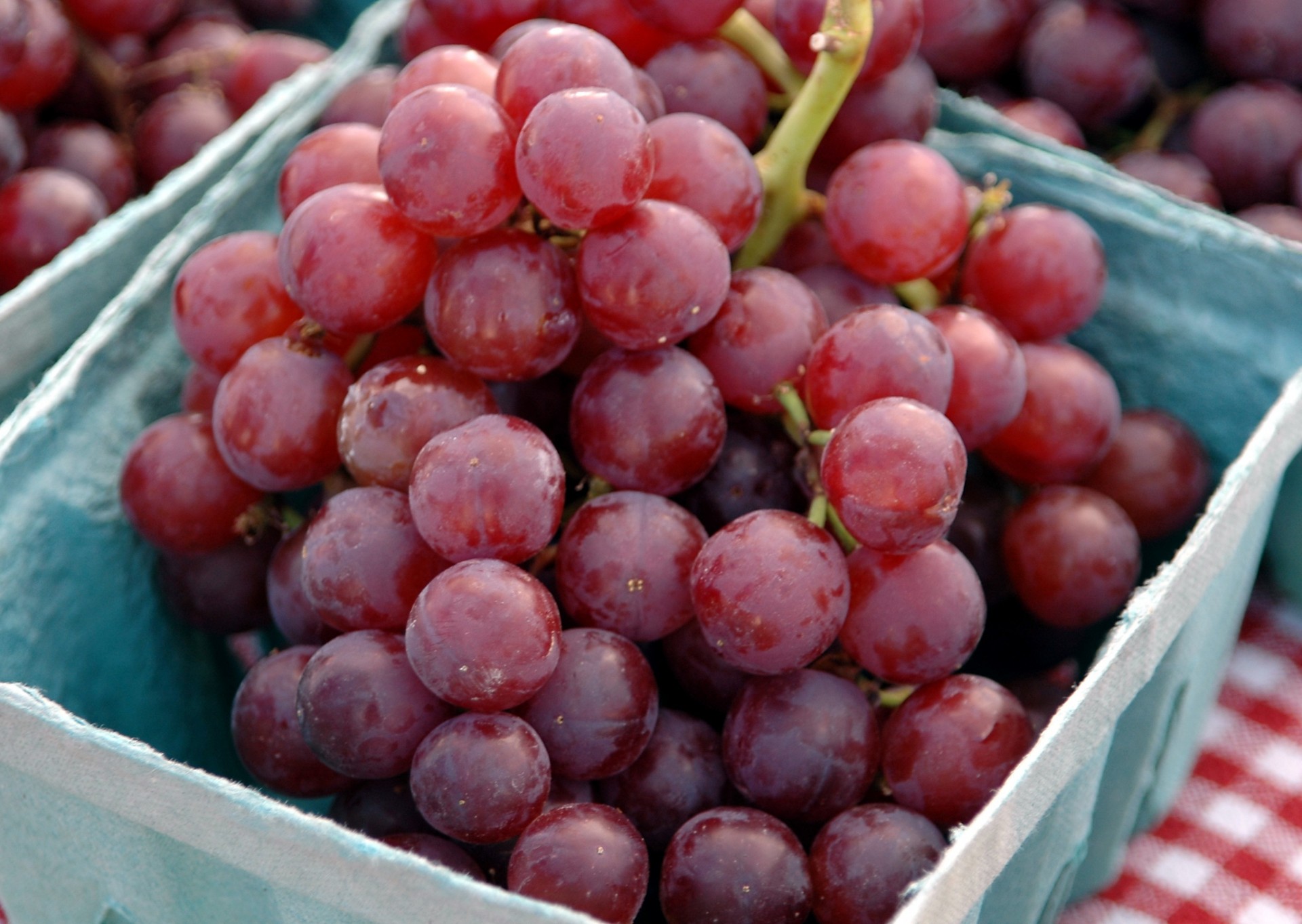 grapes red fruit free photo