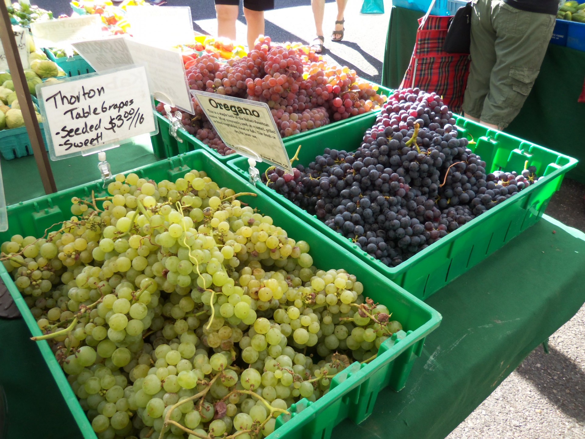 grapes fruit farmers market free photo