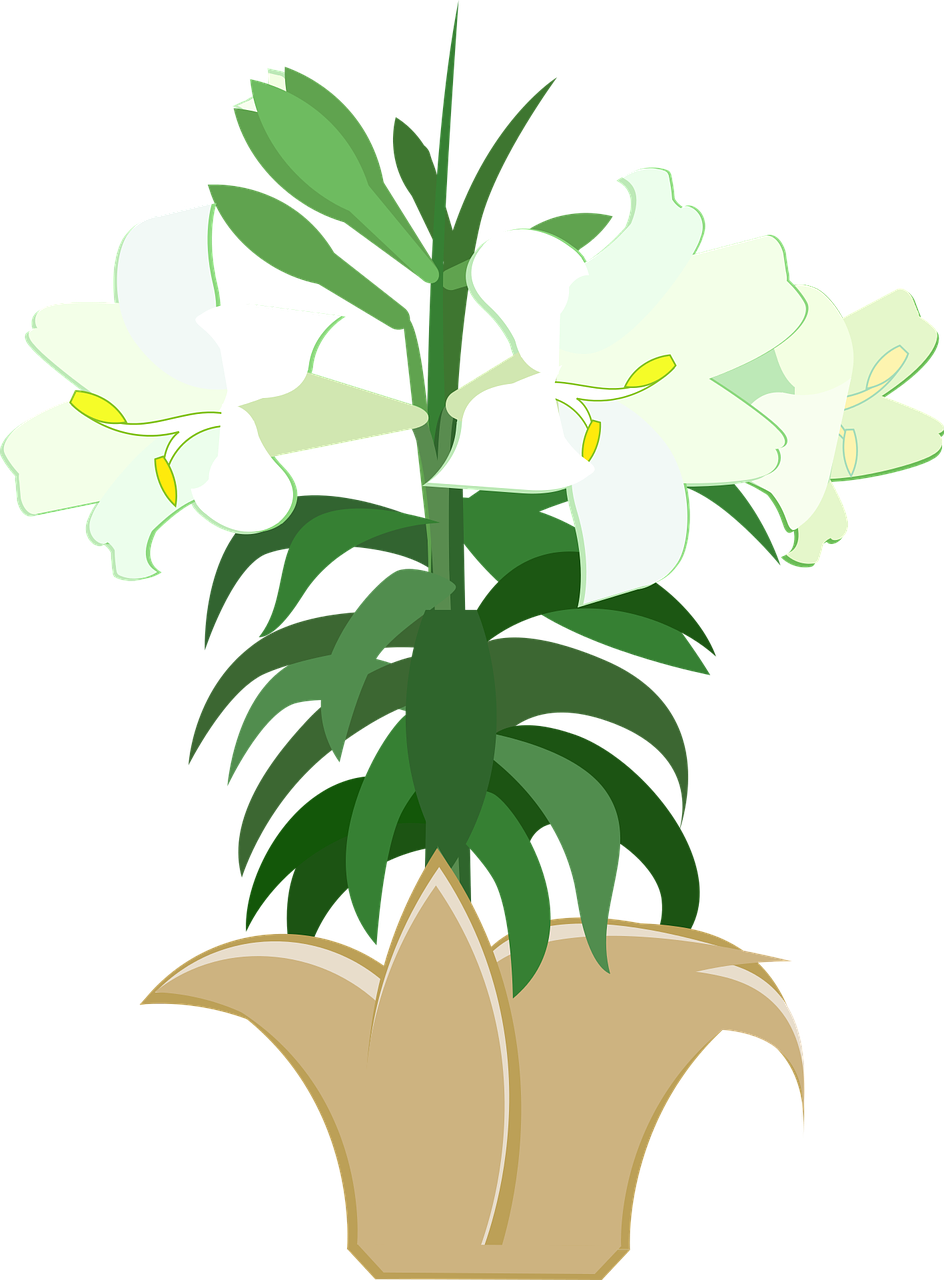 graphic  easter lily  easter free photo