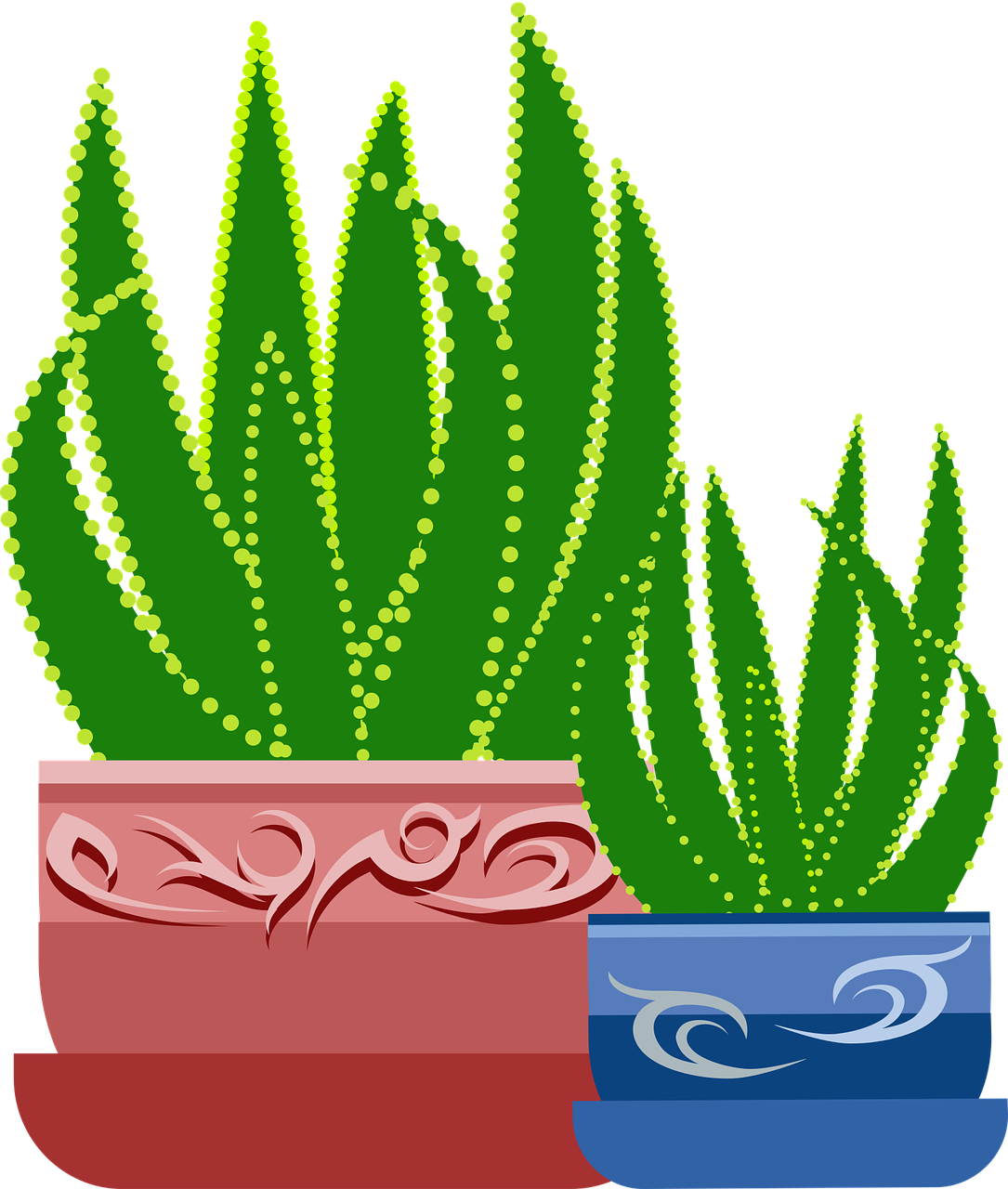 graphic  aloe  plant free photo