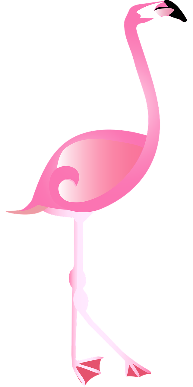 graphic  flamingo  pink free photo