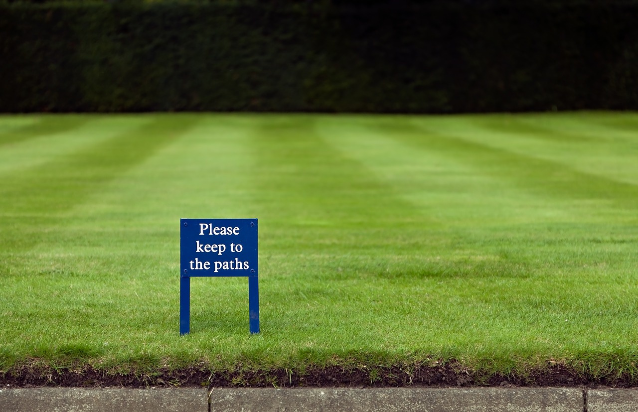 grass sign green free photo