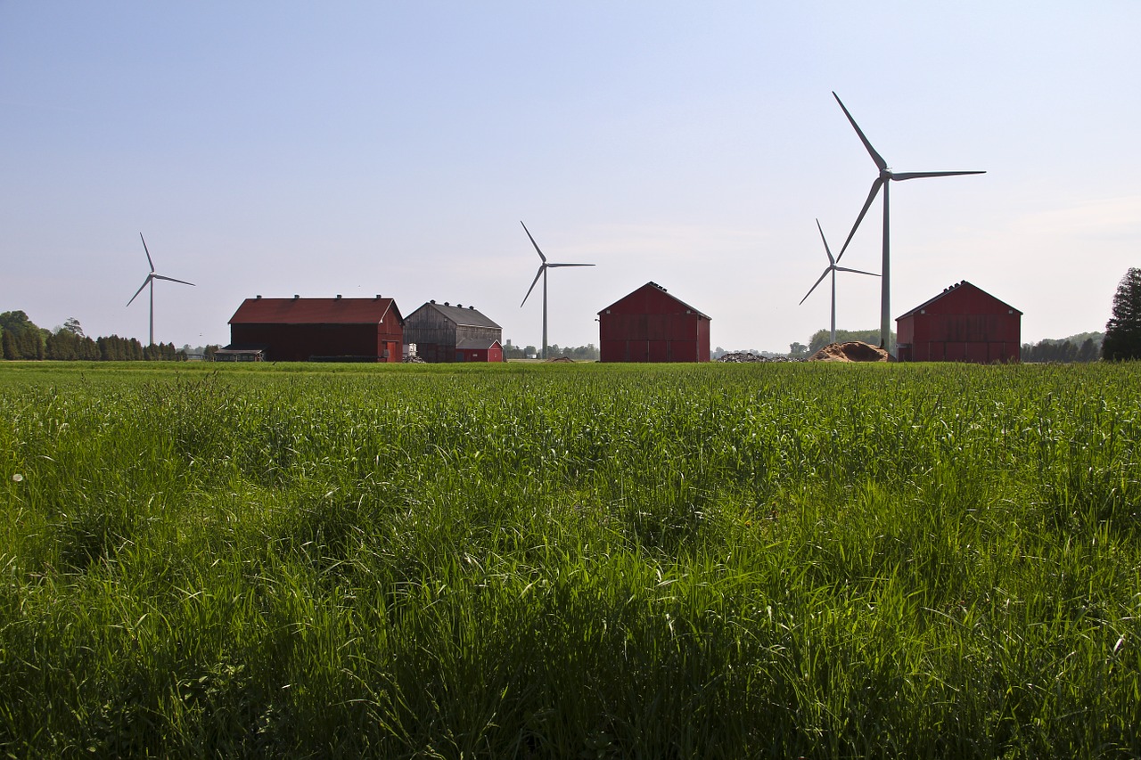 grass windmills landscape free photo