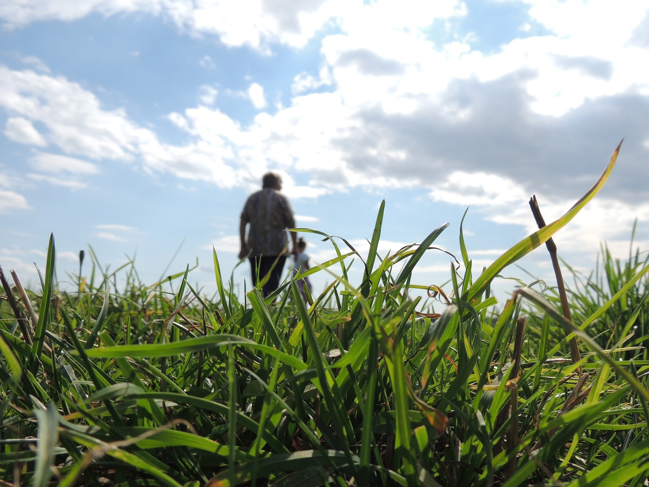 grass clouds sky free photo