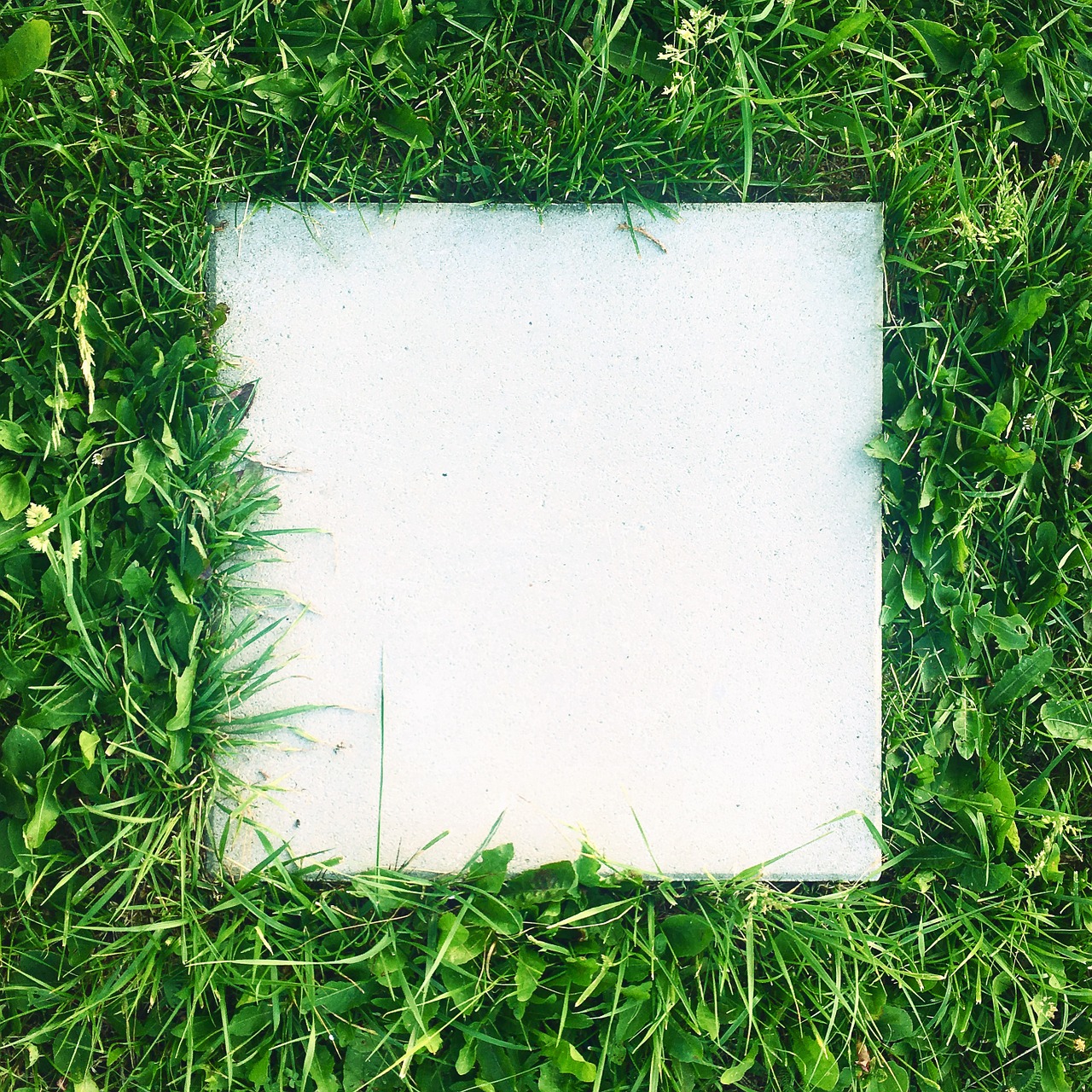 grass concrete tile free photo