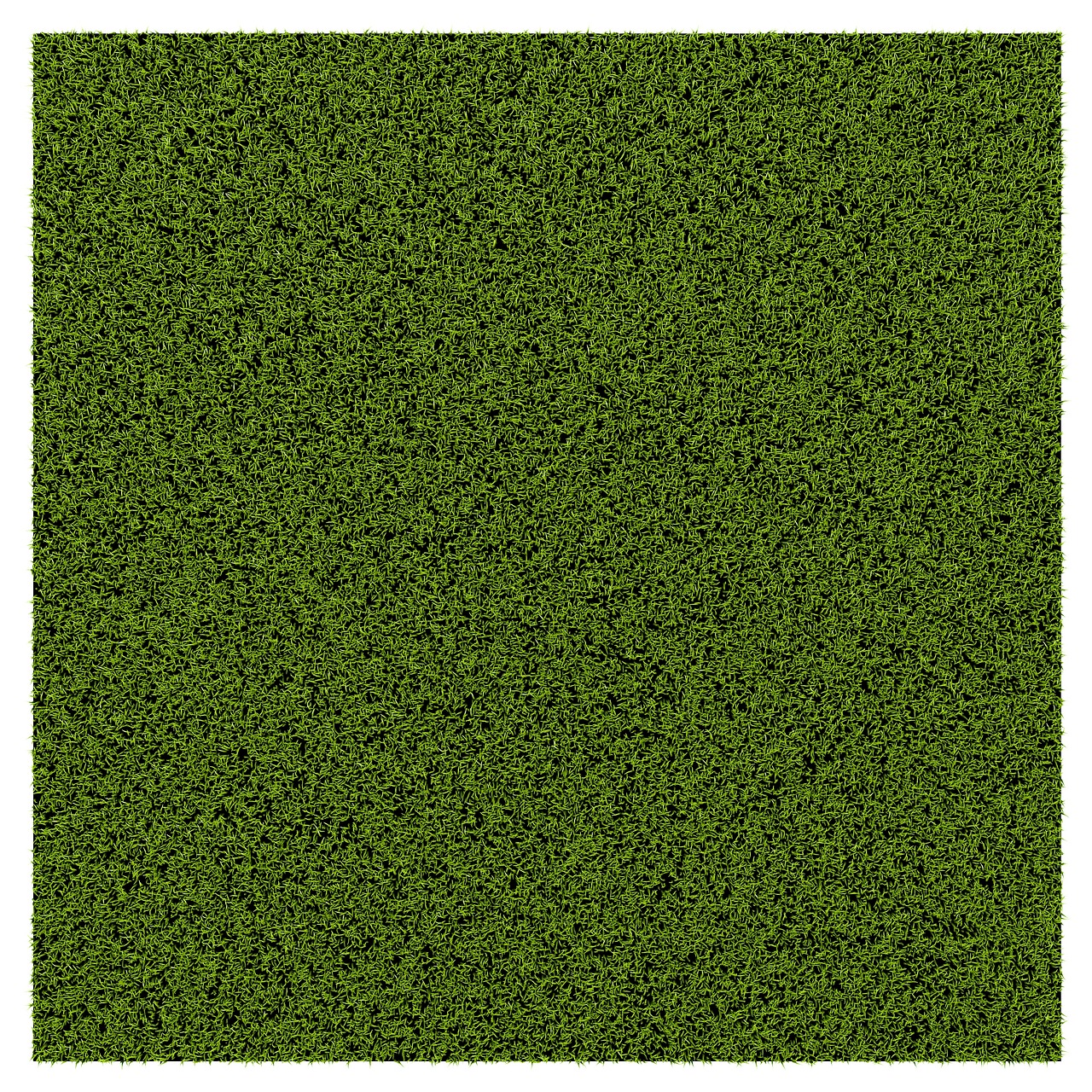 grass carpet texture free photo