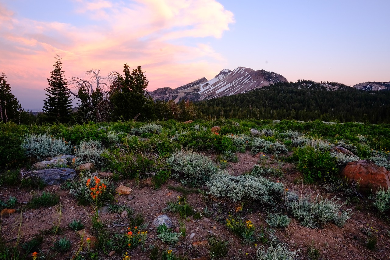 grass landscape mountain free photo